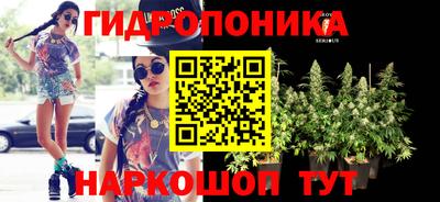 прущий лед Бийск