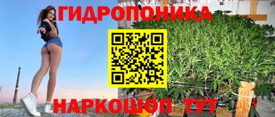 прущий лед Бийск