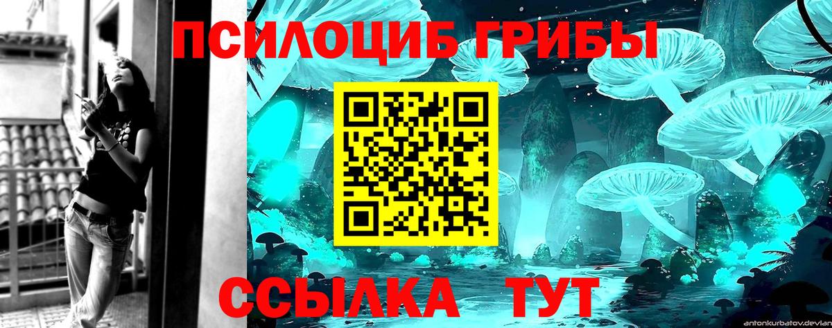 Ивантеевка  Псилоцибиновые грибы MAGIC MUSHROOMS  Вход с VPN 